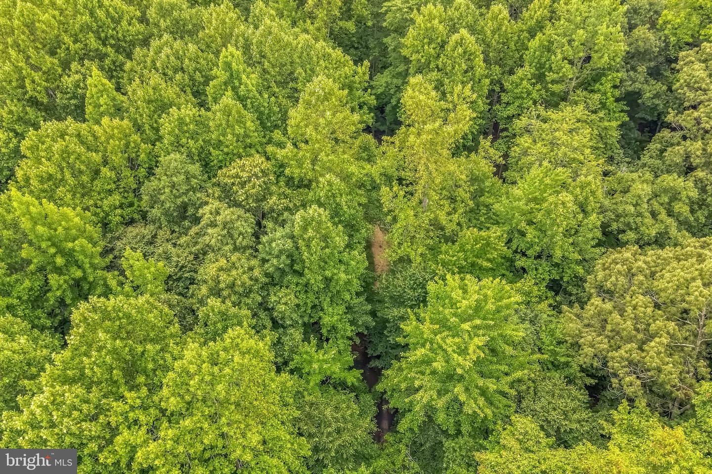 BELLE DR, KING GEORGE, Virginia 22485, ,Land,For sale,BELLE DR,VAKG2006212 MLS # VAKG2006212