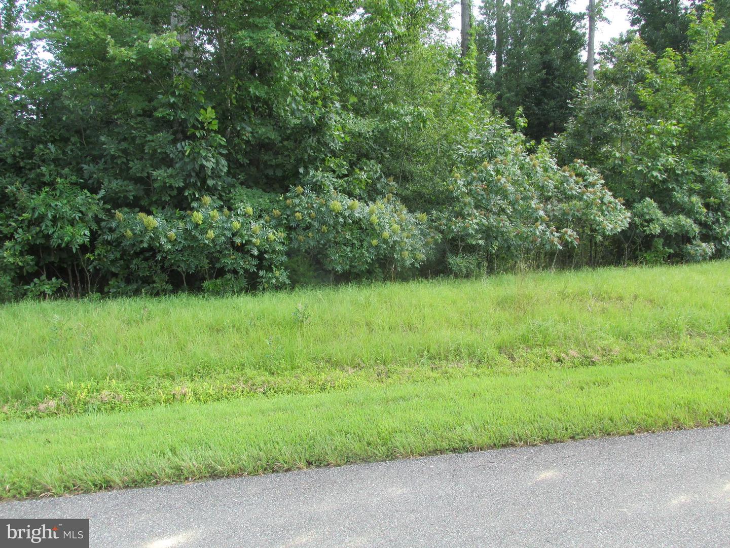 BLUE SKY WAY, BUMPASS, Virginia 23024, ,Land,For sale,BLUE SKY WAY,VALA2008392 MLS # VALA2008392