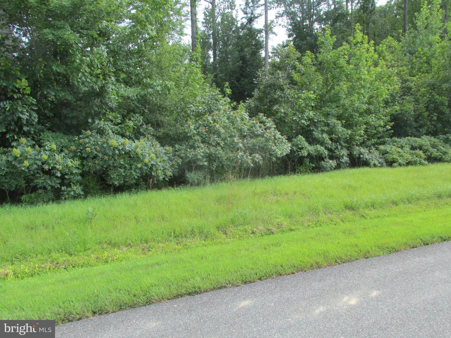 BLUE SKY WAY, BUMPASS, Virginia 23024, ,Land,For sale,BLUE SKY WAY,VALA2008392 MLS # VALA2008392