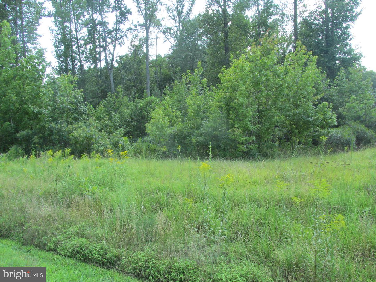 BLUE SKY WAY, BUMPASS, Virginia 23024, ,Land,For sale,BLUE SKY WAY,VALA2008392 MLS # VALA2008392