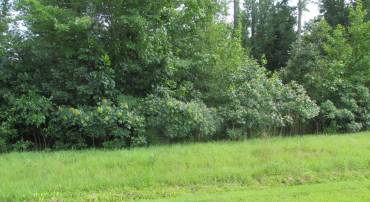BLUE SKY WAY, BUMPASS, Virginia 23024, ,Land,For sale,BLUE SKY WAY,VALA2008392 MLS # VALA2008392
