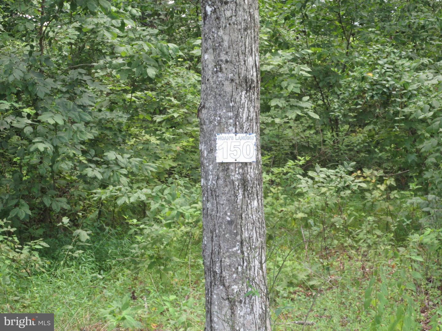 BLUE SKY WAY, BUMPASS, Virginia 23024, ,Land,For sale,BLUE SKY WAY,VALA2008406 MLS # VALA2008406