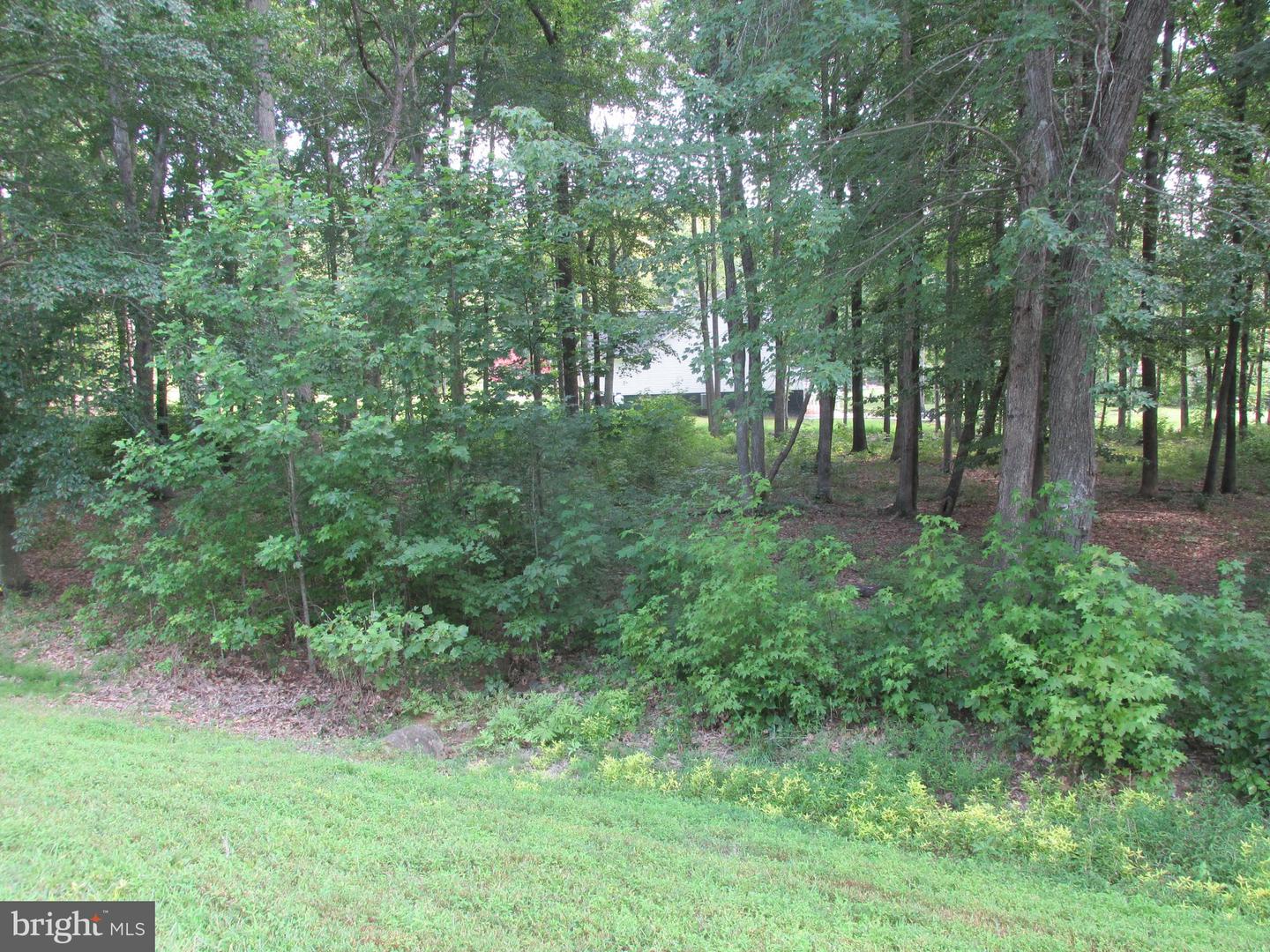 BLUE SKY WAY, BUMPASS, Virginia 23024, ,Land,For sale,BLUE SKY WAY,VALA2008406 MLS # VALA2008406