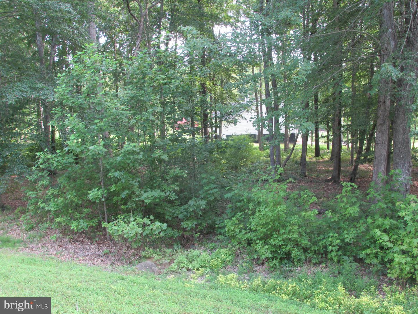 BLUE SKY WAY, BUMPASS, Virginia 23024, ,Land,For sale,BLUE SKY WAY,VALA2008406 MLS # VALA2008406
