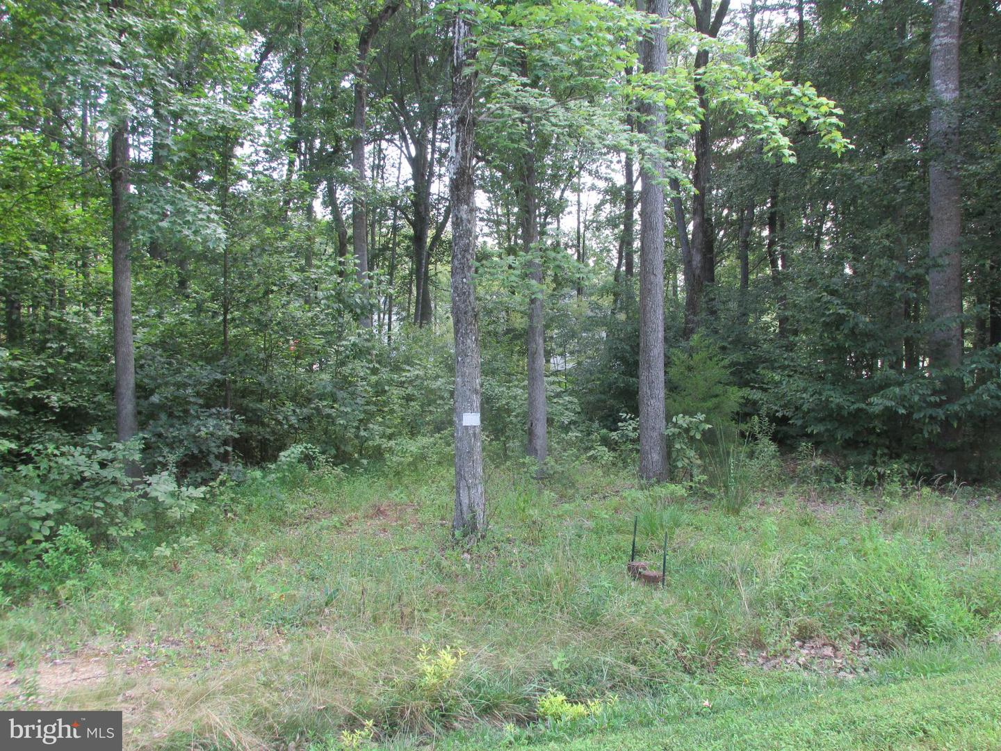 BLUE SKY WAY, BUMPASS, Virginia 23024, ,Land,For sale,BLUE SKY WAY,VALA2008406 MLS # VALA2008406