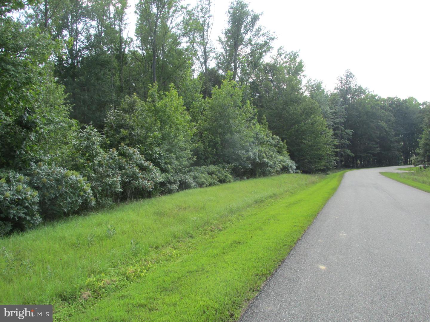 BLUE SKY WAY, BUMPASS, Virginia 23024, ,Land,For sale,BLUE SKY WAY,VALA2008406 MLS # VALA2008406