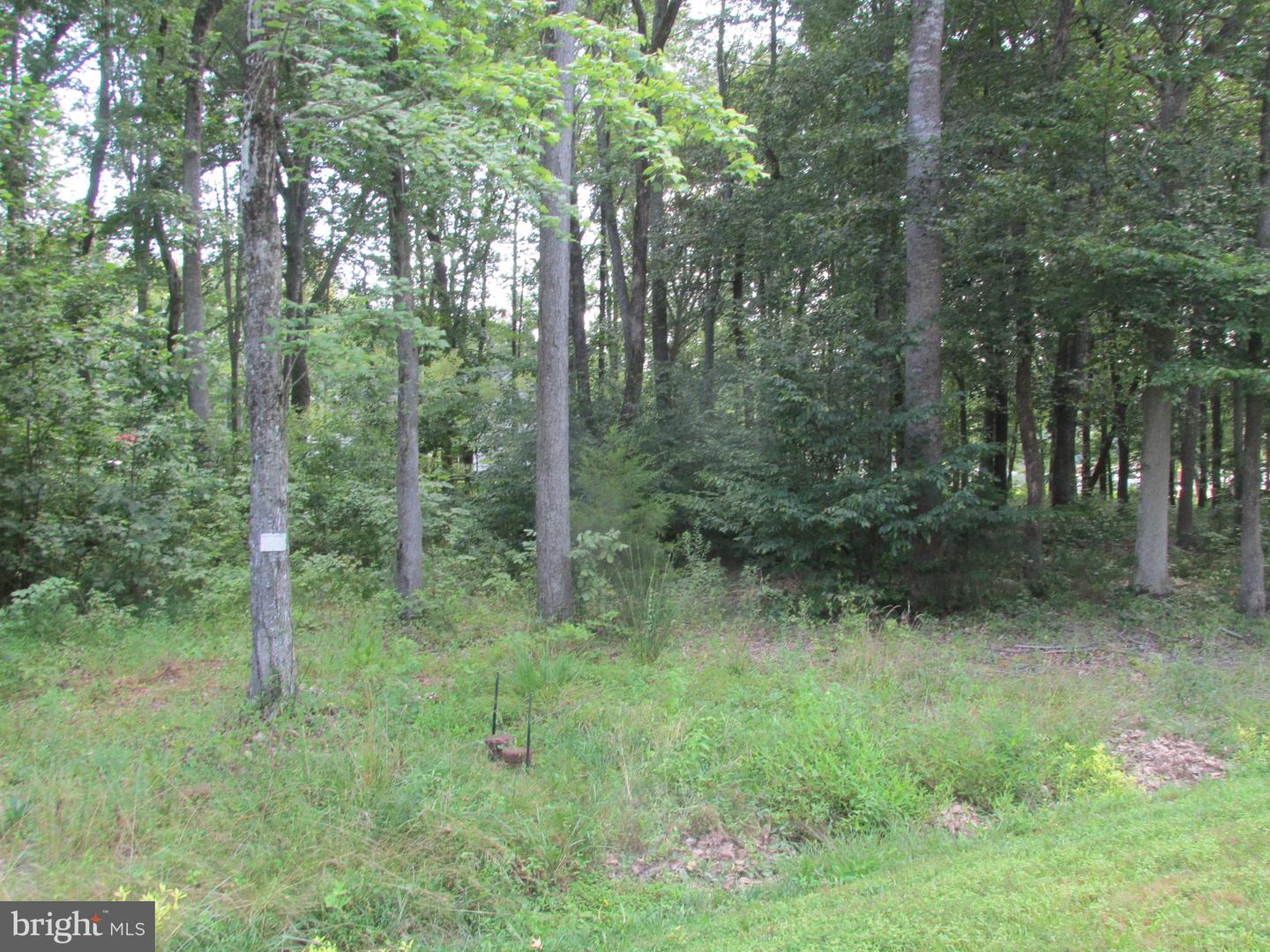 BLUE SKY WAY, BUMPASS, Virginia 23024, ,Land,For sale,BLUE SKY WAY,VALA2008406 MLS # VALA2008406