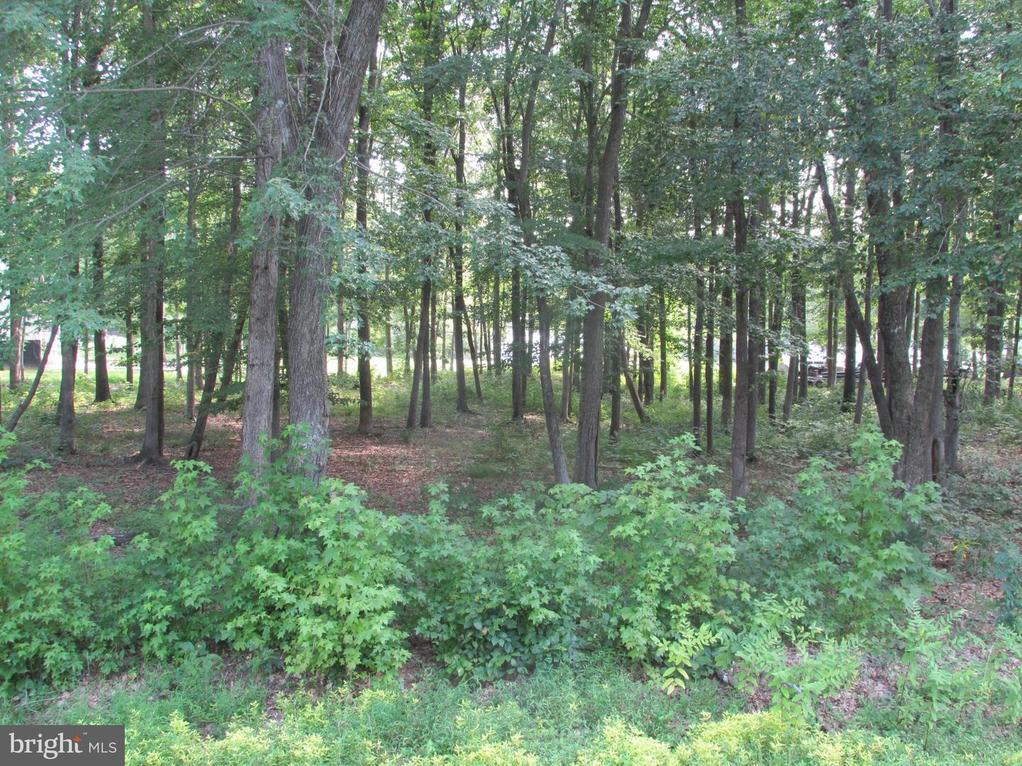 BLUE SKY WAY, BUMPASS, Virginia 23024, ,Land,For sale,BLUE SKY WAY,VALA2008406 MLS # VALA2008406