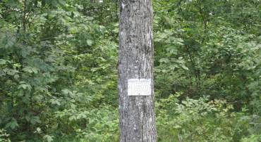 BLUE SKY WAY, BUMPASS, Virginia 23024, ,Land,For sale,BLUE SKY WAY,VALA2008406 MLS # VALA2008406