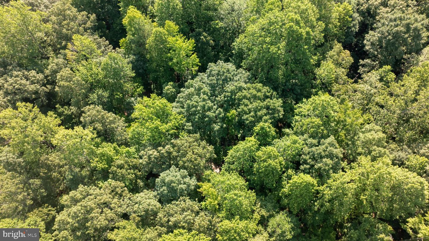 TBD SHADY PINES #34, PROVIDENCE FORGE, Virginia 23140, ,Land,For sale,TBD SHADY PINES #34,VANK2000106 MLS # VANK2000106