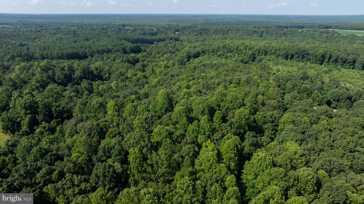 TBD SHADY PINES #34, PROVIDENCE FORGE, Virginia 23140, ,Land,For sale,TBD SHADY PINES #34,VANK2000106 MLS # VANK2000106