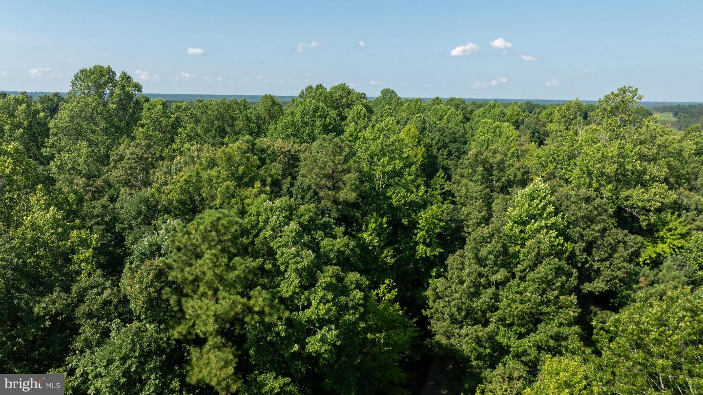 TBD SHADY PINES #34, PROVIDENCE FORGE, Virginia 23140, ,Land,For sale,TBD SHADY PINES #34,VANK2000106 MLS # VANK2000106