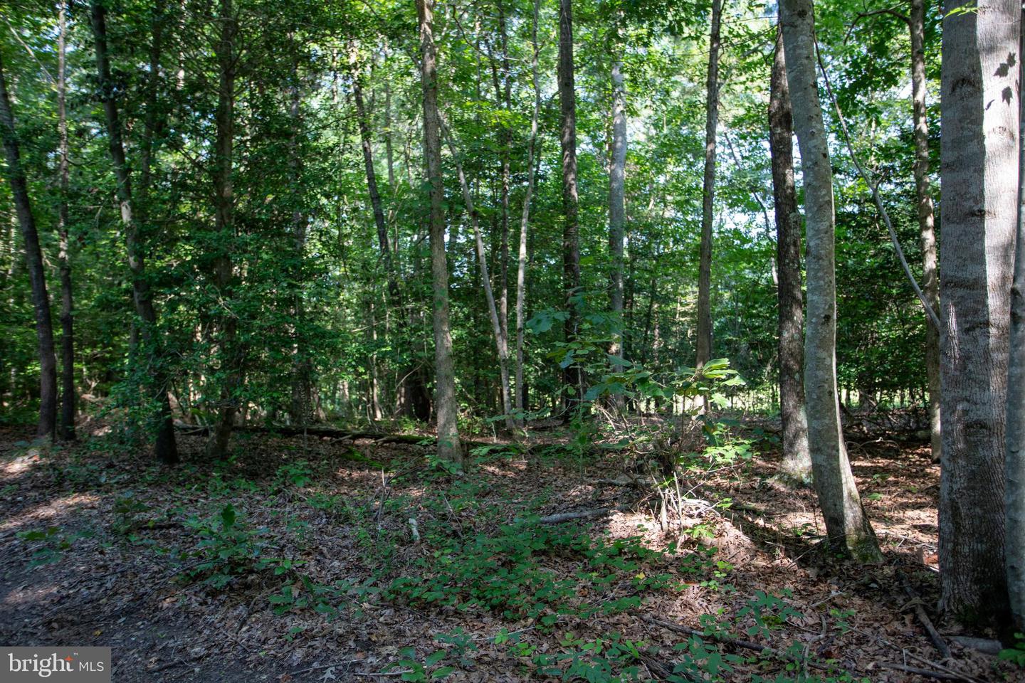 TBD SHADY PINES #34, PROVIDENCE FORGE, Virginia 23140, ,Land,For sale,TBD SHADY PINES #34,VANK2000106 MLS # VANK2000106