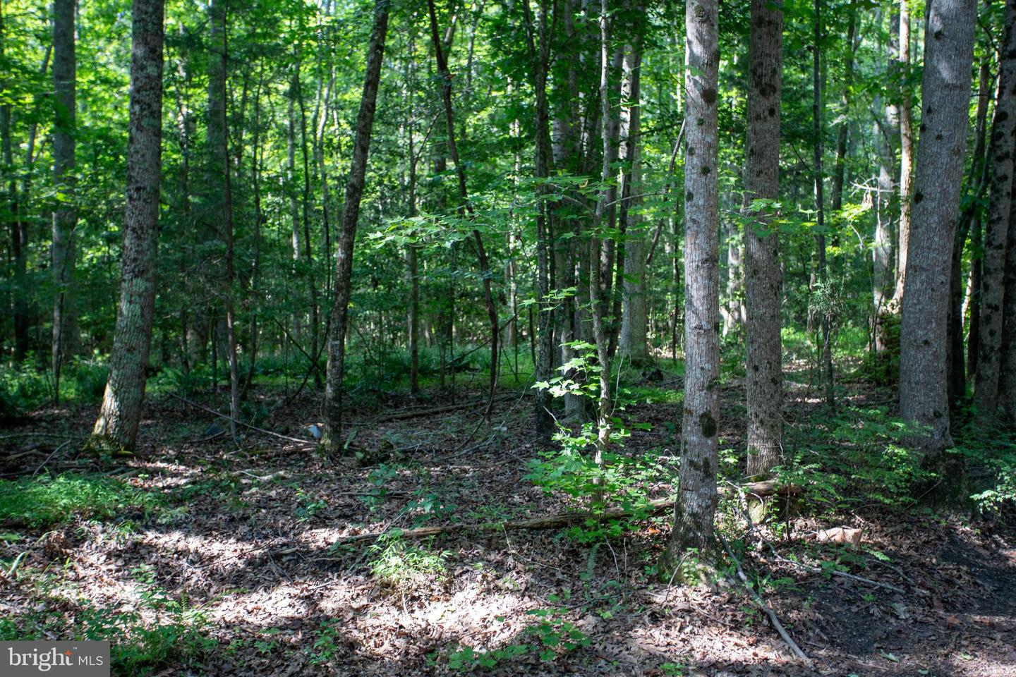 TBD SHADY PINES #34, PROVIDENCE FORGE, Virginia 23140, ,Land,For sale,TBD SHADY PINES #34,VANK2000106 MLS # VANK2000106
