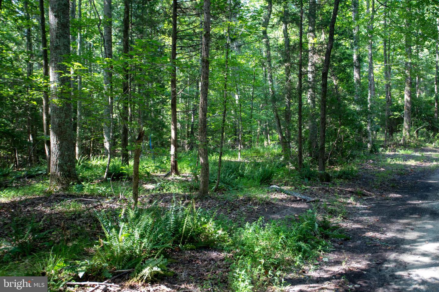 TBD SHADY PINES #34, PROVIDENCE FORGE, Virginia 23140, ,Land,For sale,TBD SHADY PINES #34,VANK2000106 MLS # VANK2000106