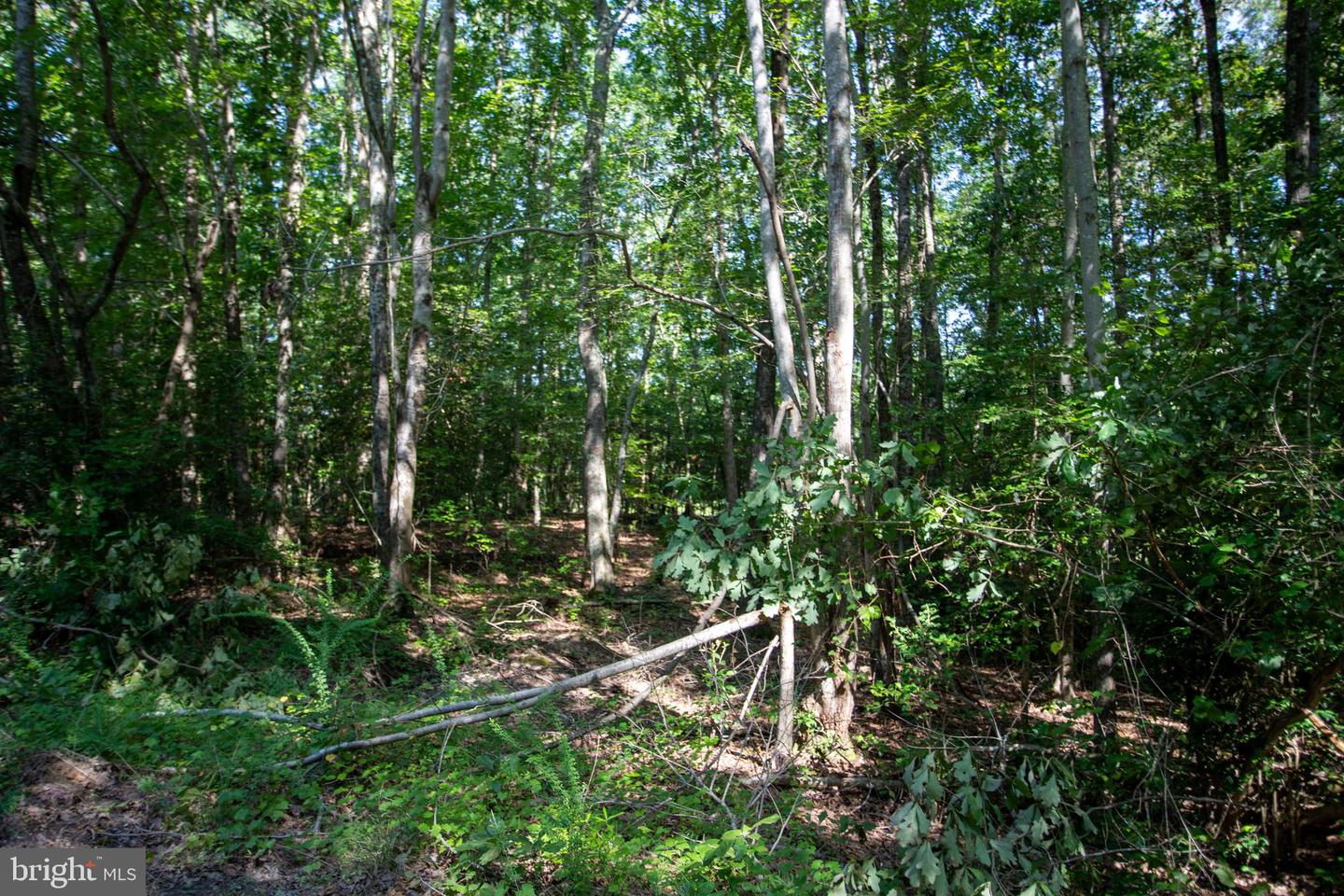 TBD SHADY PINES #34, PROVIDENCE FORGE, Virginia 23140, ,Land,For sale,TBD SHADY PINES #34,VANK2000106 MLS # VANK2000106