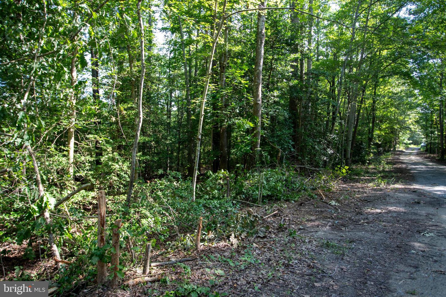 TBD SHADY PINES #34, PROVIDENCE FORGE, Virginia 23140, ,Land,For sale,TBD SHADY PINES #34,VANK2000106 MLS # VANK2000106