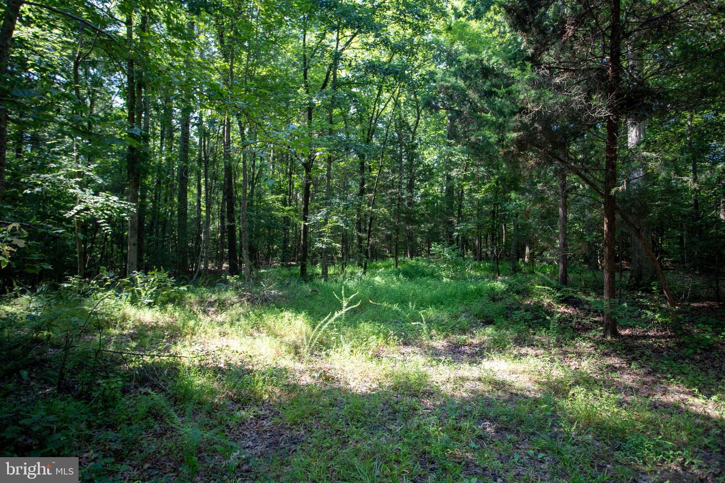 TBD SHADY PINES #34, PROVIDENCE FORGE, Virginia 23140, ,Land,For sale,TBD SHADY PINES #34,VANK2000106 MLS # VANK2000106
