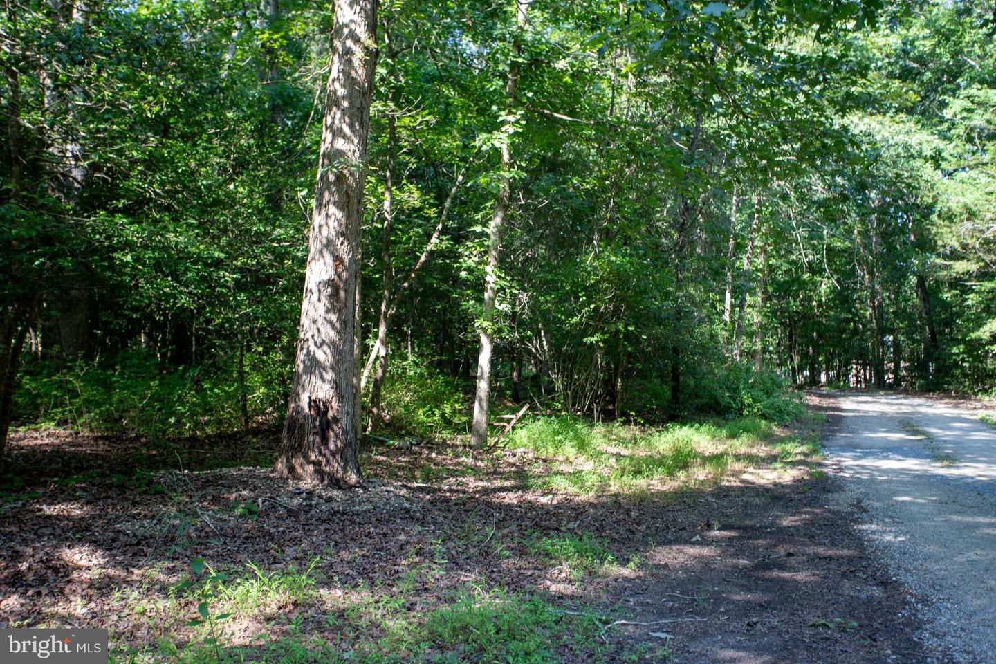 TBD SHADY PINES #34, PROVIDENCE FORGE, Virginia 23140, ,Land,For sale,TBD SHADY PINES #34,VANK2000106 MLS # VANK2000106
