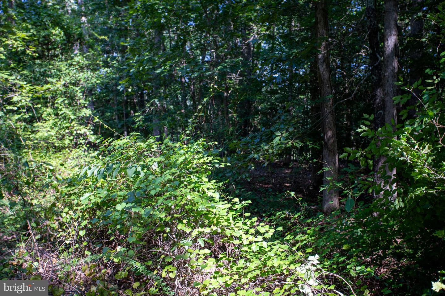 TBD SHADY PINES #34, PROVIDENCE FORGE, Virginia 23140, ,Land,For sale,TBD SHADY PINES #34,VANK2000106 MLS # VANK2000106