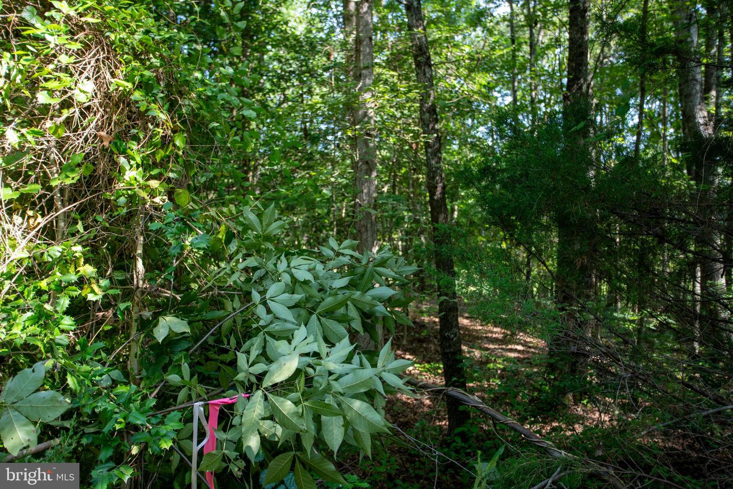 TBD SHADY PINES #34, PROVIDENCE FORGE, Virginia 23140, ,Land,For sale,TBD SHADY PINES #34,VANK2000106 MLS # VANK2000106