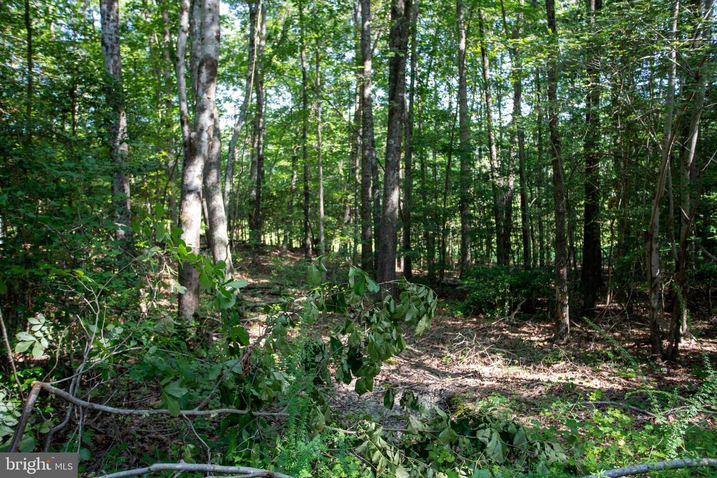 TBD SHADY PINES #34, PROVIDENCE FORGE, Virginia 23140, ,Land,For sale,TBD SHADY PINES #34,VANK2000106 MLS # VANK2000106
