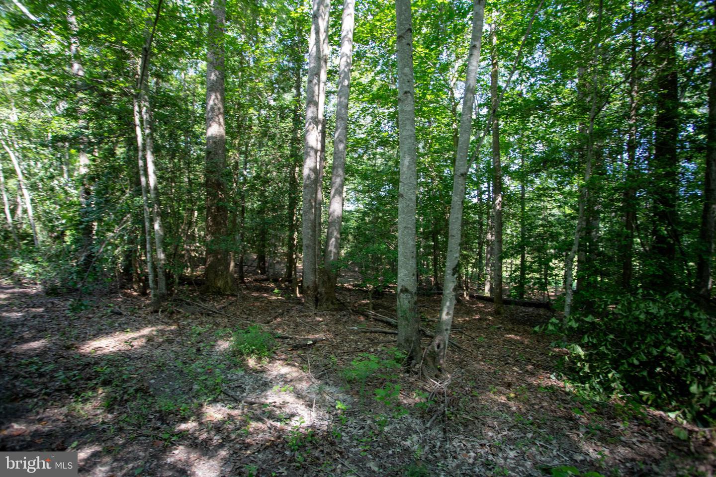 TBD SHADY PINES #34, PROVIDENCE FORGE, Virginia 23140, ,Land,For sale,TBD SHADY PINES #34,VANK2000106 MLS # VANK2000106