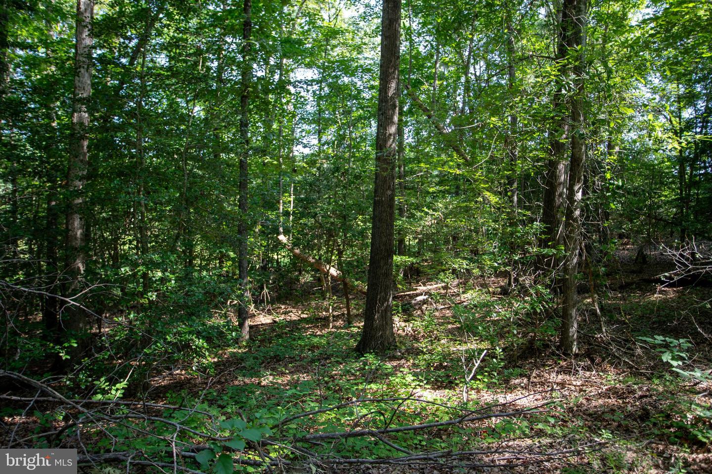 TBD SHADY PINES #34, PROVIDENCE FORGE, Virginia 23140, ,Land,For sale,TBD SHADY PINES #34,VANK2000106 MLS # VANK2000106