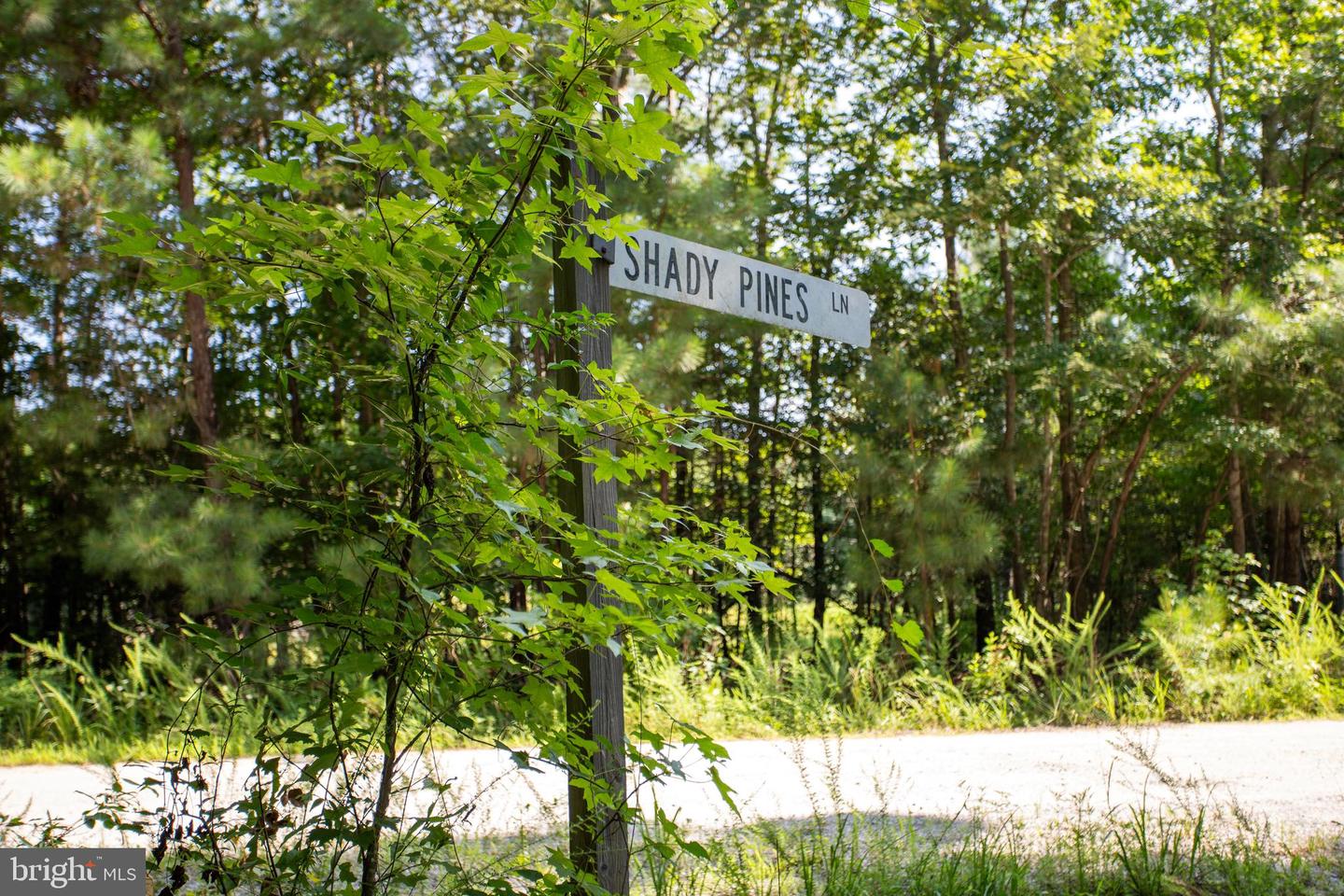 TBD SHADY PINES #34, PROVIDENCE FORGE, Virginia 23140, ,Land,For sale,TBD SHADY PINES #34,VANK2000106 MLS # VANK2000106