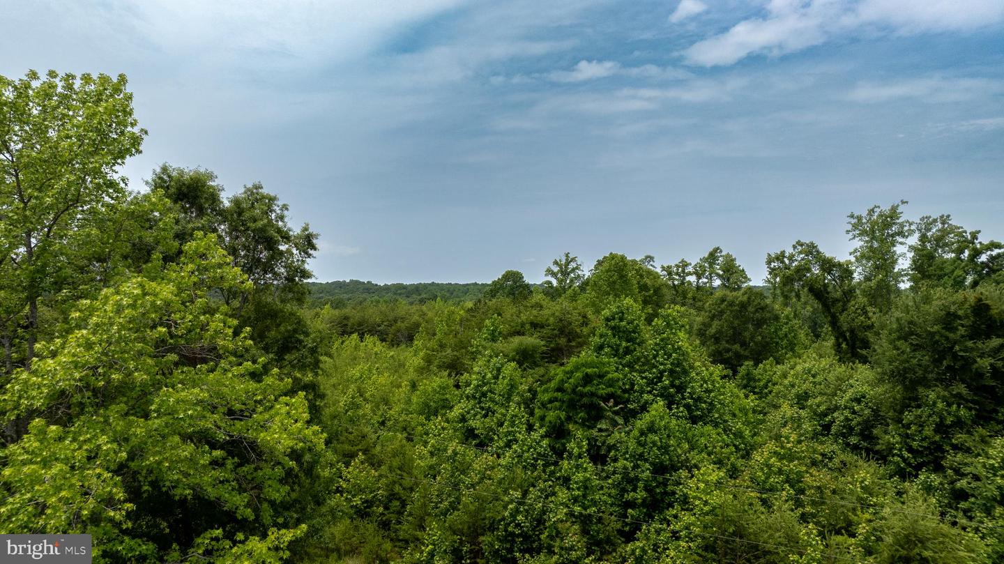 TBD BIG CEDAR LANE #9, NATHALIE, Virginia 24577, ,Land,For sale,TBD BIG CEDAR LANE #9,VAHX2000124 MLS # VAHX2000124