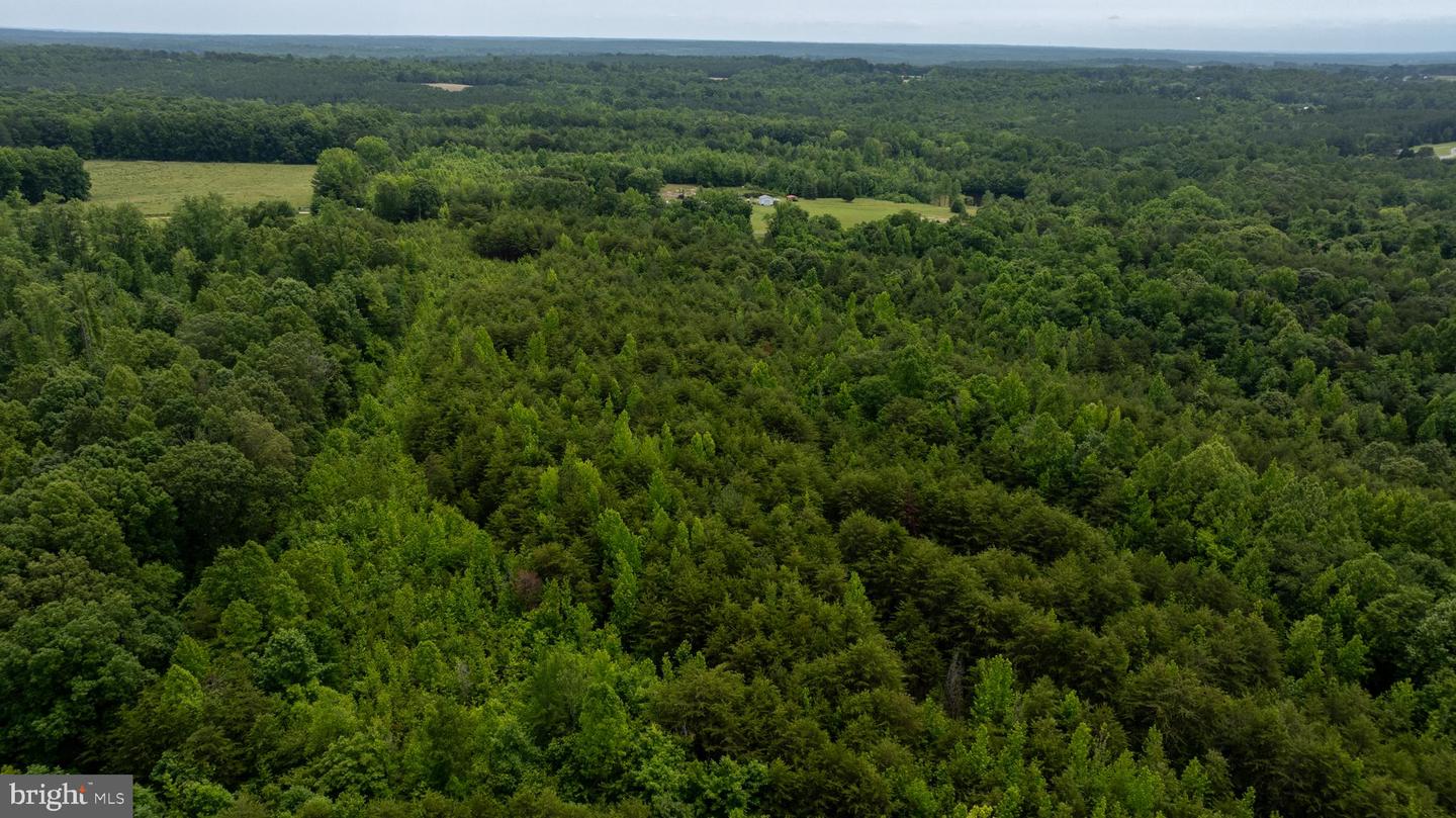 TBD BIG CEDAR LANE #9, NATHALIE, Virginia 24577, ,Land,For sale,TBD BIG CEDAR LANE #9,VAHX2000124 MLS # VAHX2000124