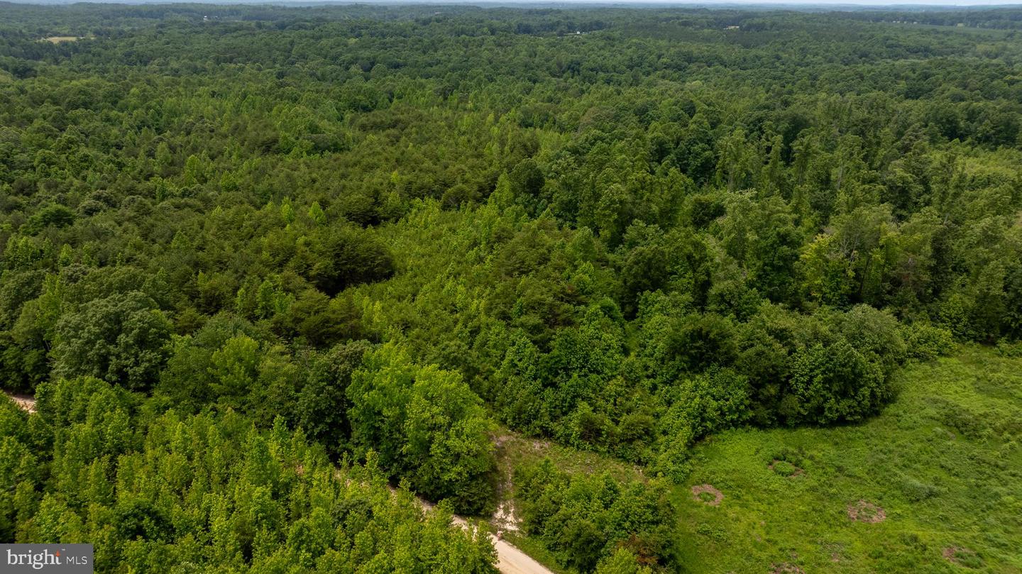 TBD BIG CEDAR LANE #9, NATHALIE, Virginia 24577, ,Land,For sale,TBD BIG CEDAR LANE #9,VAHX2000124 MLS # VAHX2000124