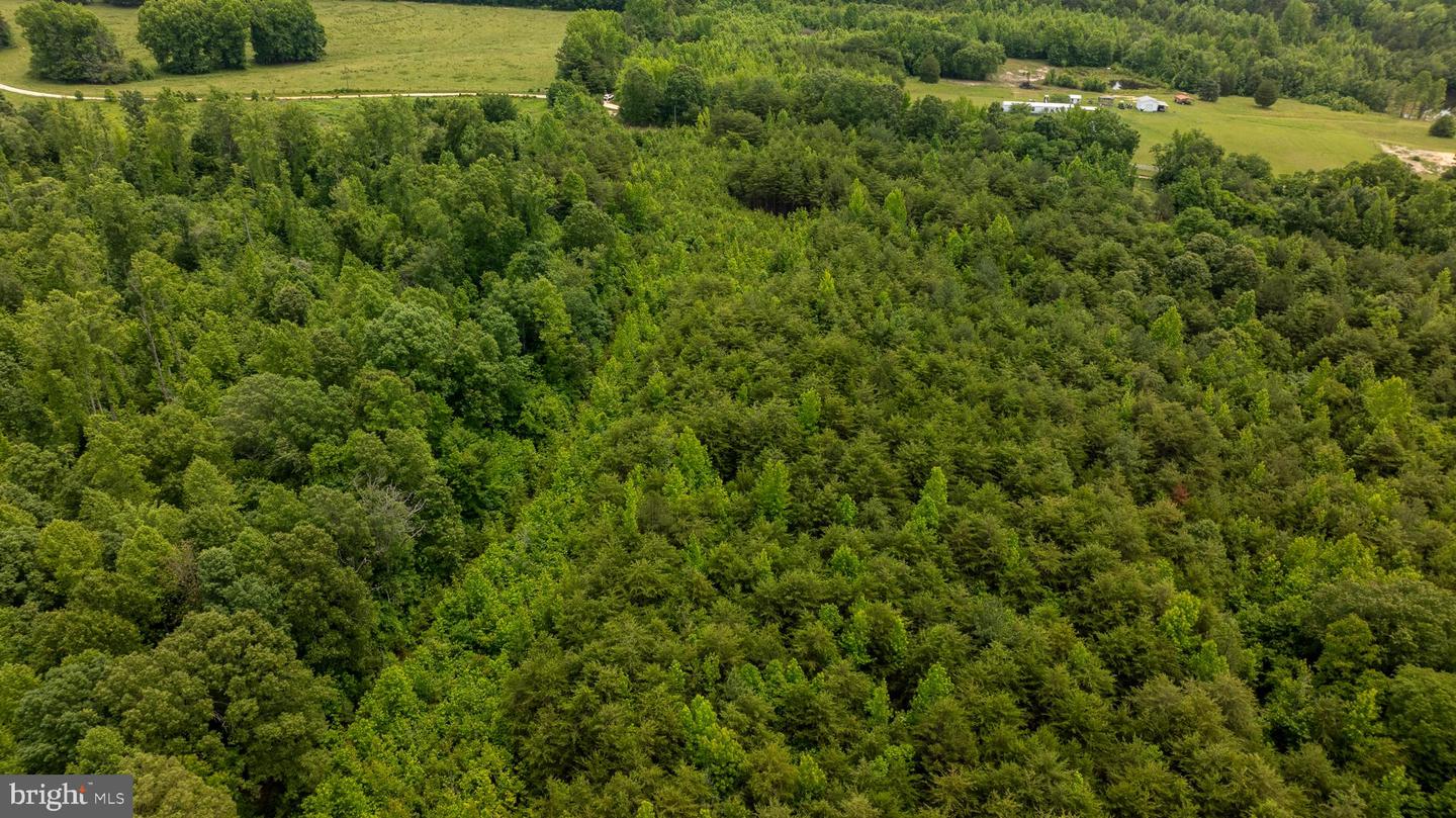 TBD BIG CEDAR LANE #9, NATHALIE, Virginia 24577, ,Land,For sale,TBD BIG CEDAR LANE #9,VAHX2000124 MLS # VAHX2000124