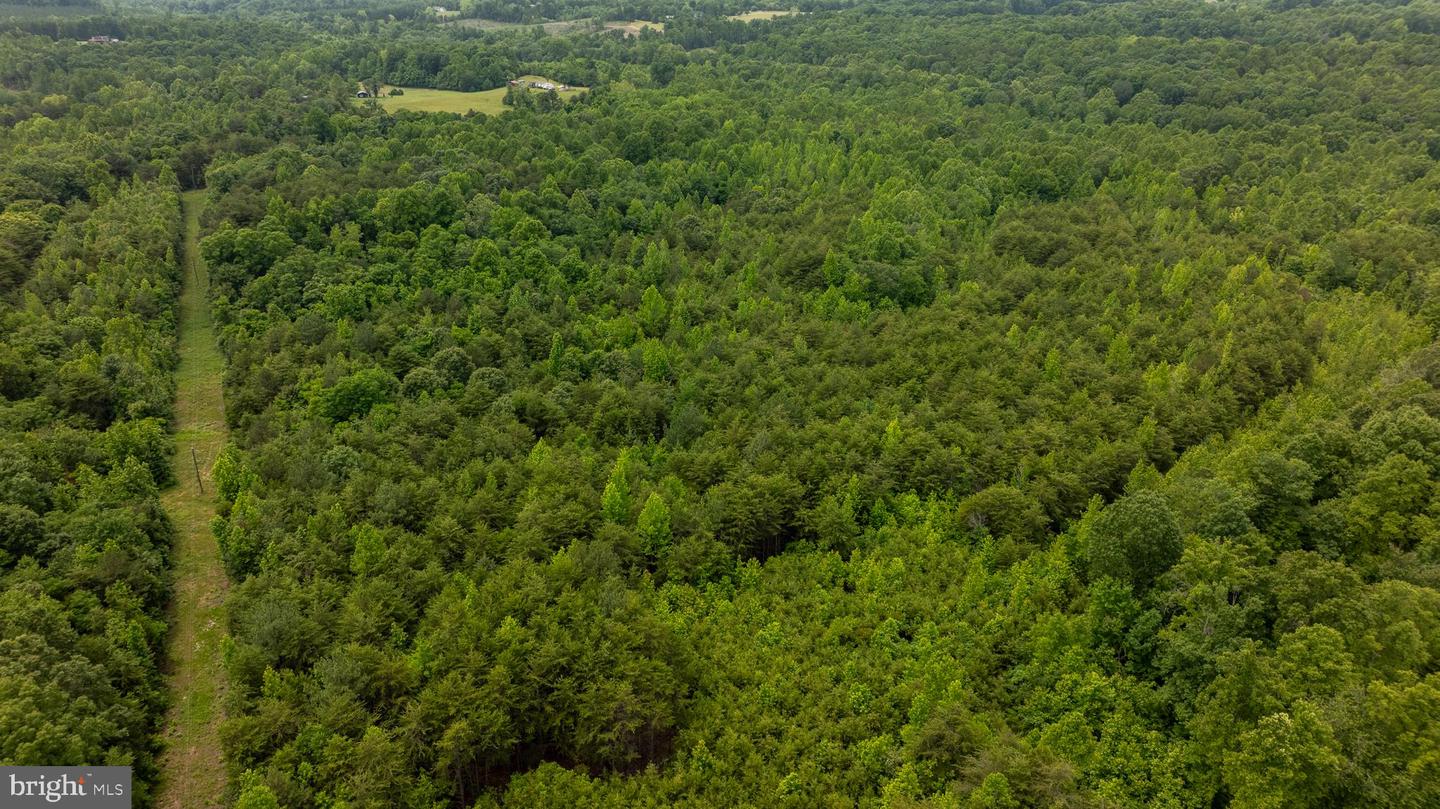 TBD BIG CEDAR LANE #9, NATHALIE, Virginia 24577, ,Land,For sale,TBD BIG CEDAR LANE #9,VAHX2000124 MLS # VAHX2000124