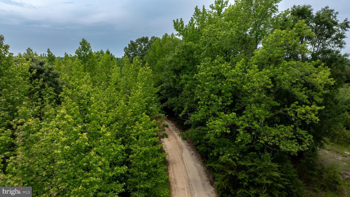 TBD BIG CEDAR LANE #9, NATHALIE, Virginia 24577, ,Land,For sale,TBD BIG CEDAR LANE #9,VAHX2000124 MLS # VAHX2000124