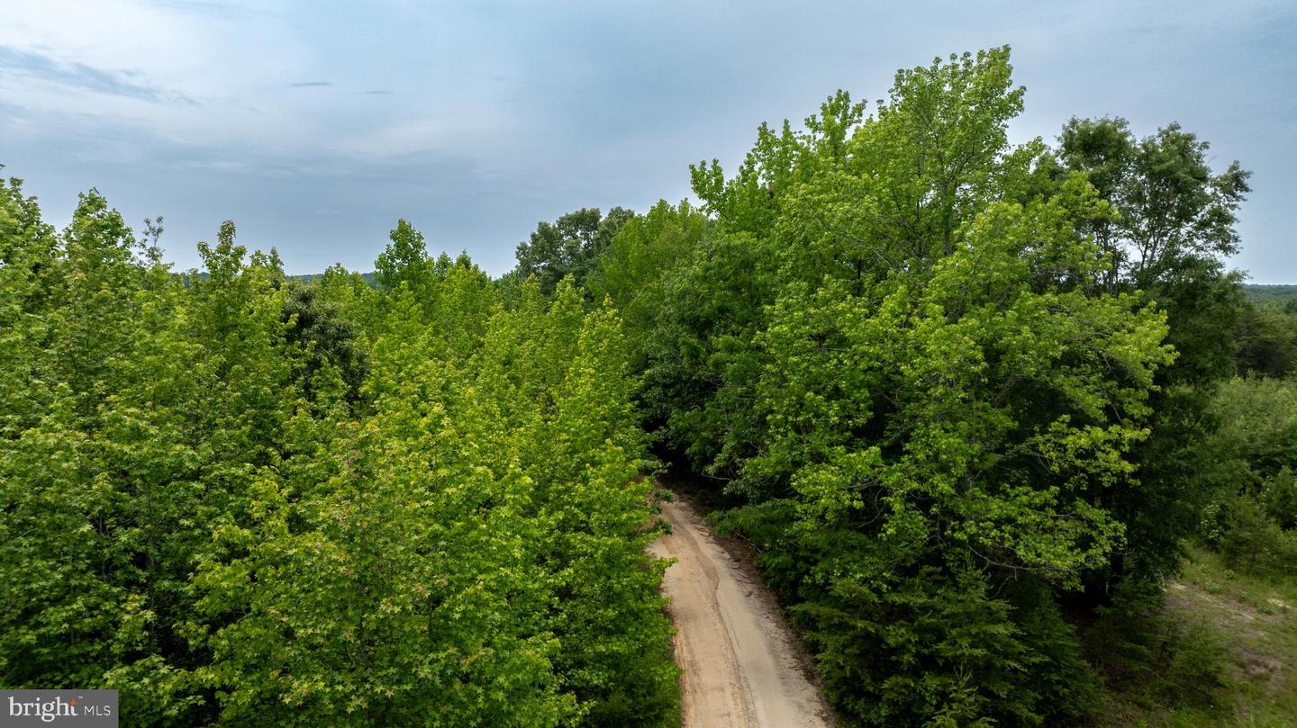 TBD BIG CEDAR LANE #9, NATHALIE, Virginia 24577, ,Land,For sale,TBD BIG CEDAR LANE #9,VAHX2000124 MLS # VAHX2000124