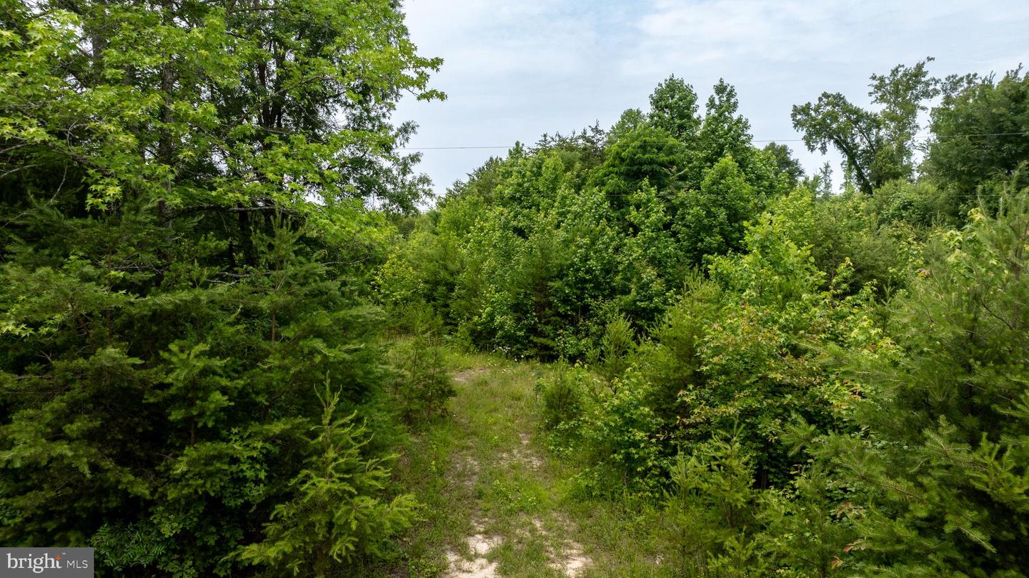 TBD BIG CEDAR LANE #9, NATHALIE, Virginia 24577, ,Land,For sale,TBD BIG CEDAR LANE #9,VAHX2000124 MLS # VAHX2000124