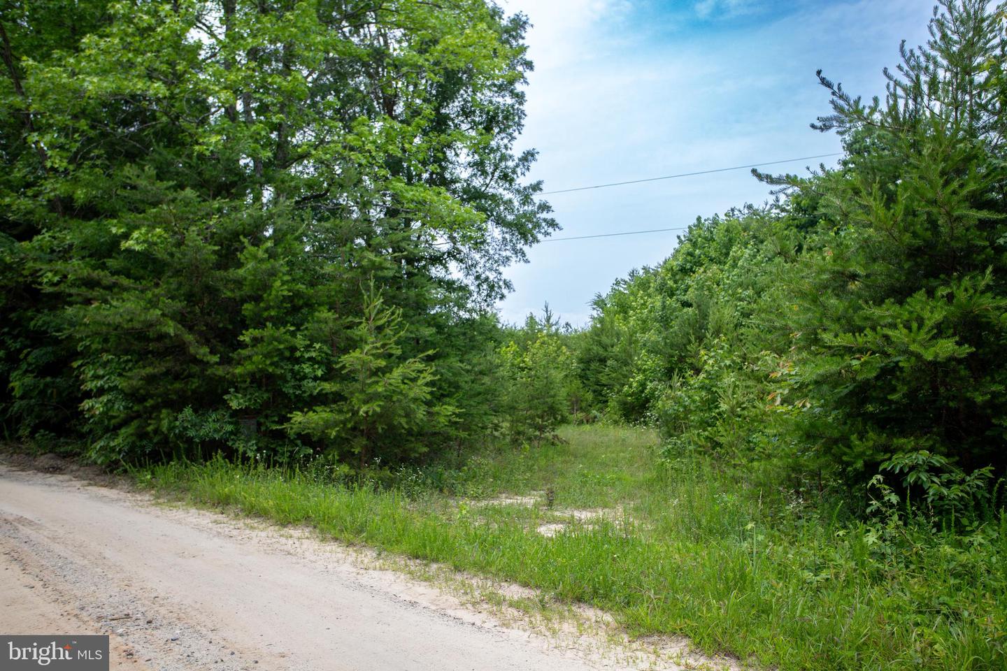 TBD BIG CEDAR LANE #9, NATHALIE, Virginia 24577, ,Land,For sale,TBD BIG CEDAR LANE #9,VAHX2000124 MLS # VAHX2000124