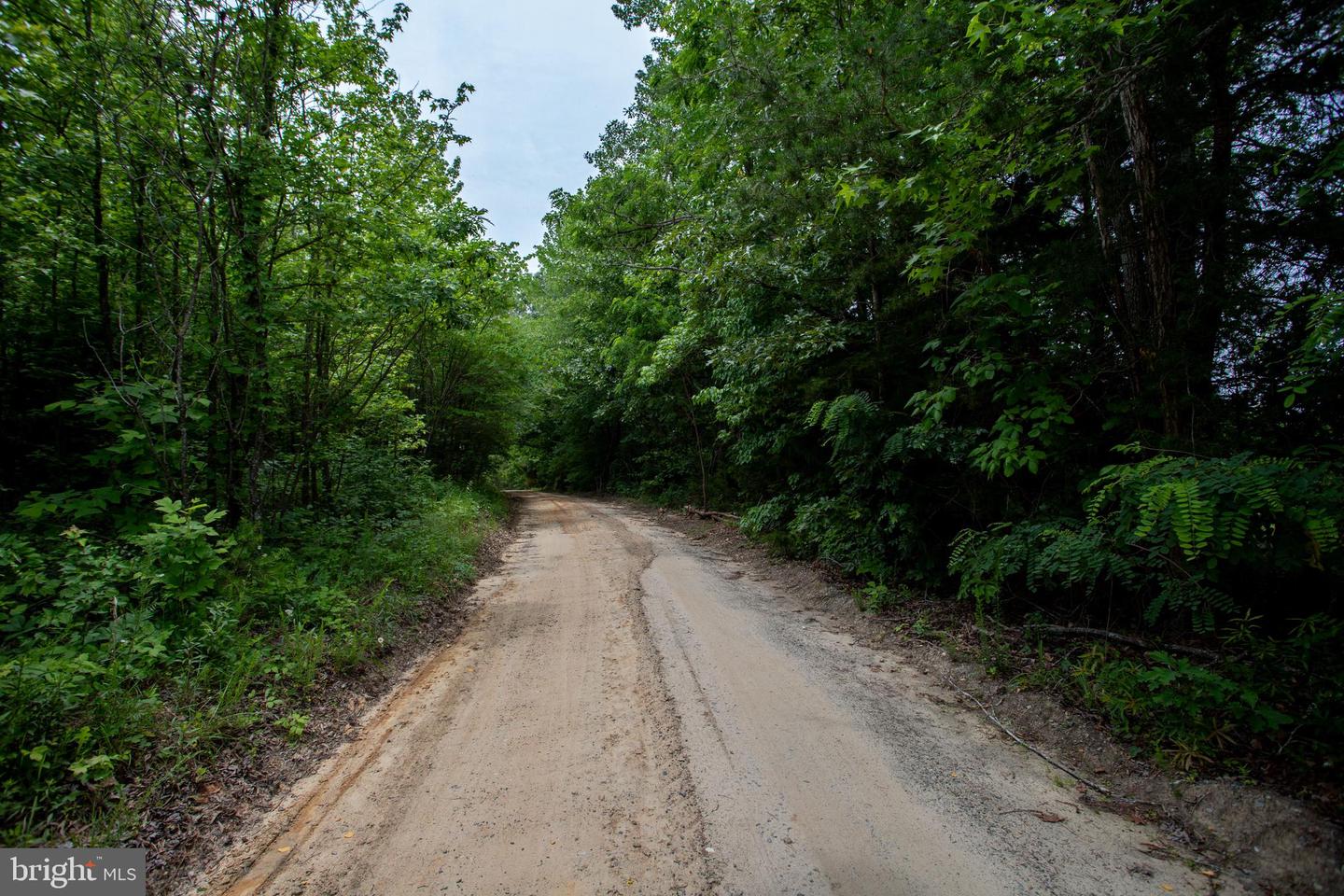 TBD BIG CEDAR LANE #9, NATHALIE, Virginia 24577, ,Land,For sale,TBD BIG CEDAR LANE #9,VAHX2000124 MLS # VAHX2000124