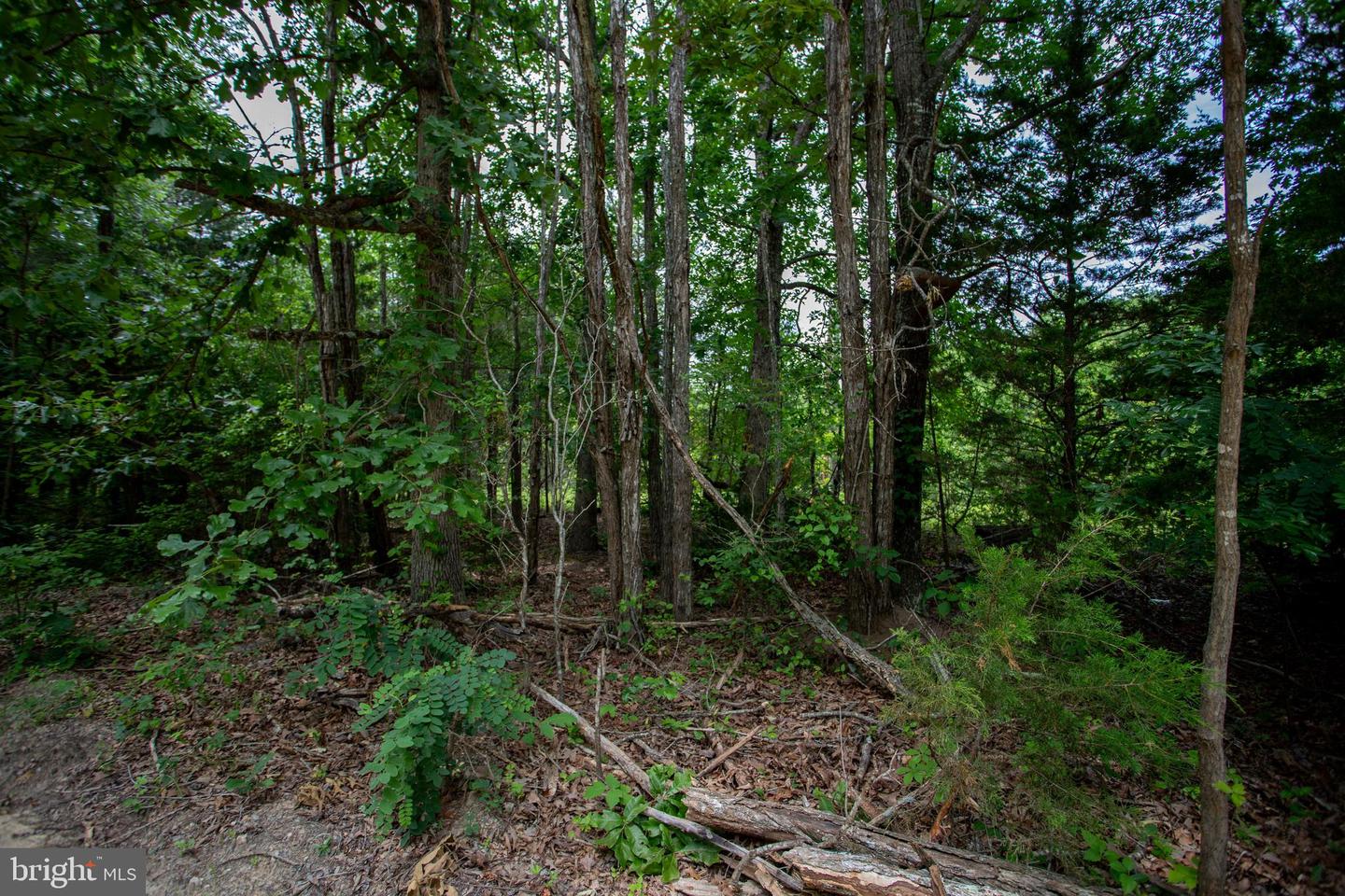 TBD BIG CEDAR LANE #9, NATHALIE, Virginia 24577, ,Land,For sale,TBD BIG CEDAR LANE #9,VAHX2000124 MLS # VAHX2000124