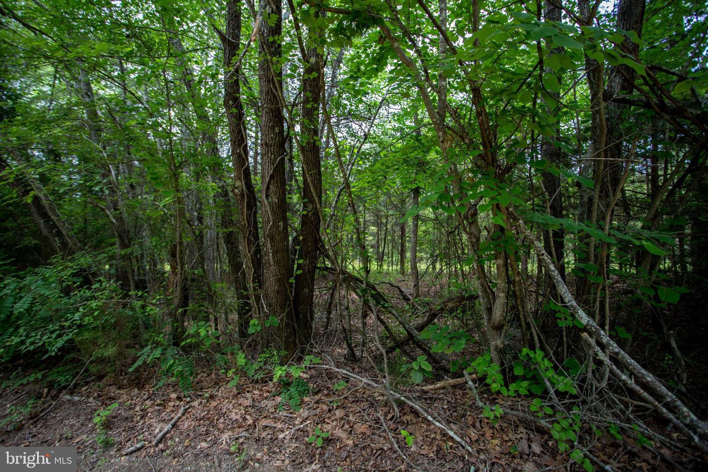 TBD BIG CEDAR LANE #9, NATHALIE, Virginia 24577, ,Land,For sale,TBD BIG CEDAR LANE #9,VAHX2000124 MLS # VAHX2000124