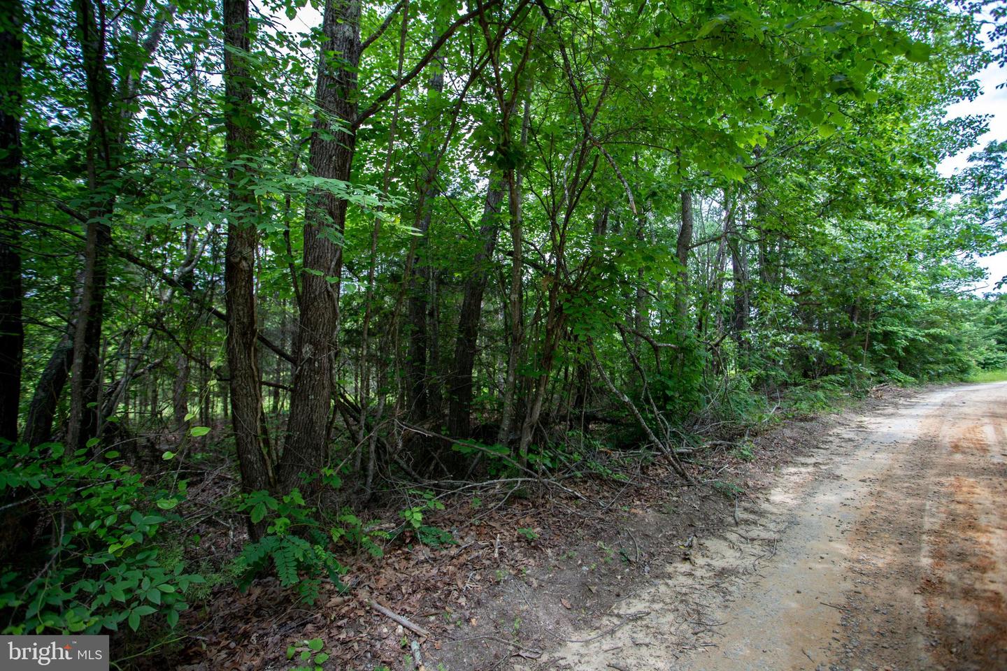 TBD BIG CEDAR LANE #9, NATHALIE, Virginia 24577, ,Land,For sale,TBD BIG CEDAR LANE #9,VAHX2000124 MLS # VAHX2000124