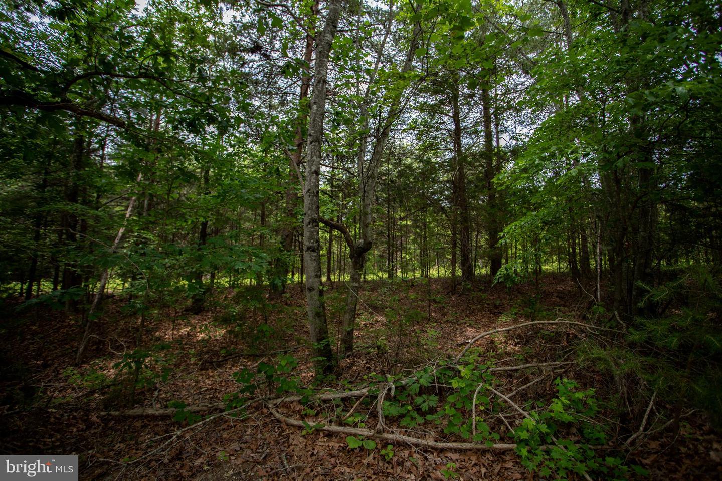 TBD BIG CEDAR LANE #9, NATHALIE, Virginia 24577, ,Land,For sale,TBD BIG CEDAR LANE #9,VAHX2000124 MLS # VAHX2000124