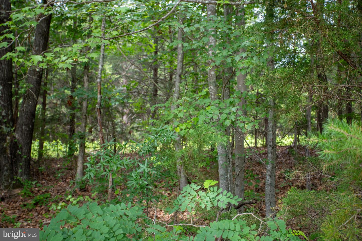 TBD BIG CEDAR LANE #9, NATHALIE, Virginia 24577, ,Land,For sale,TBD BIG CEDAR LANE #9,VAHX2000124 MLS # VAHX2000124