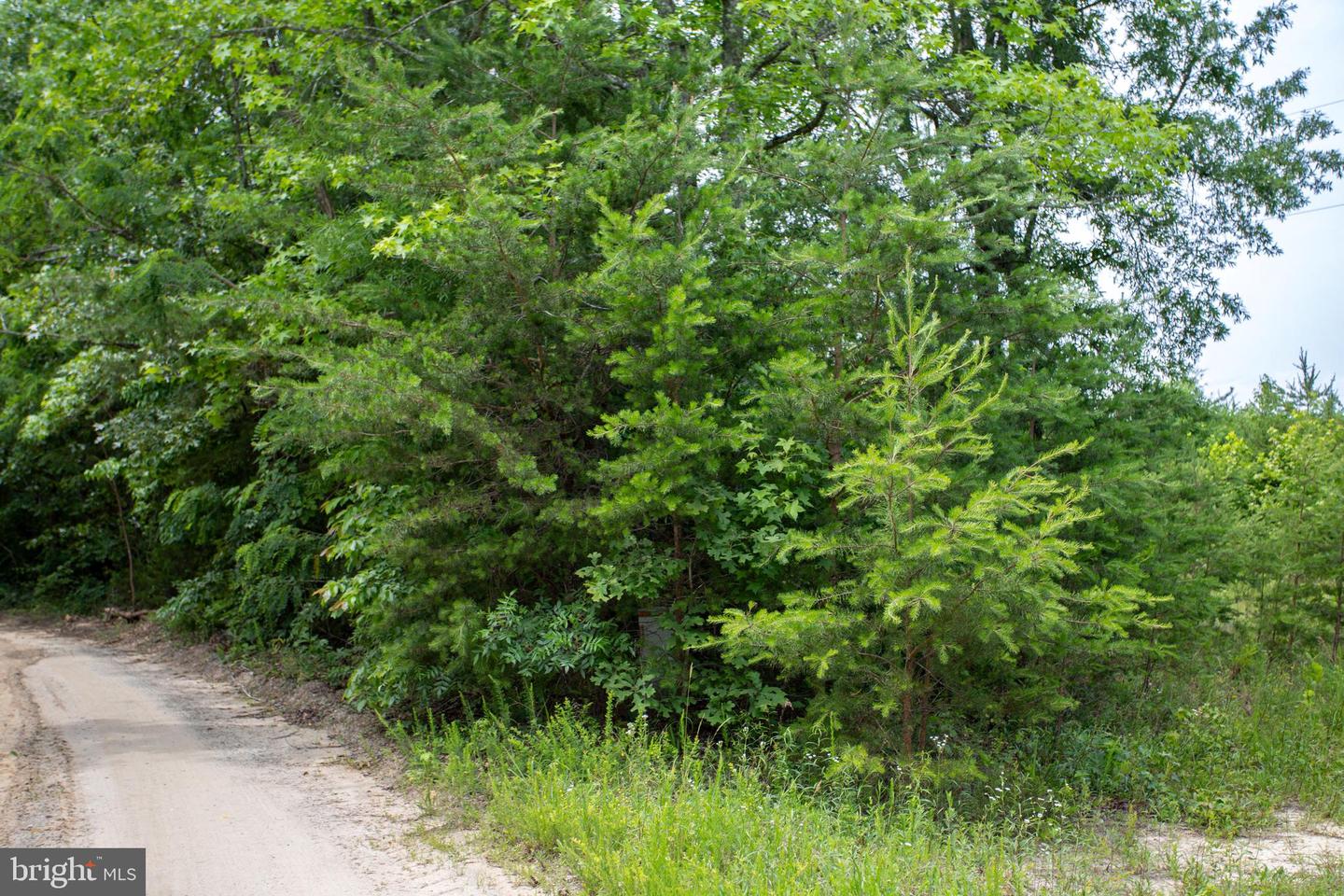 TBD BIG CEDAR LANE #9, NATHALIE, Virginia 24577, ,Land,For sale,TBD BIG CEDAR LANE #9,VAHX2000124 MLS # VAHX2000124