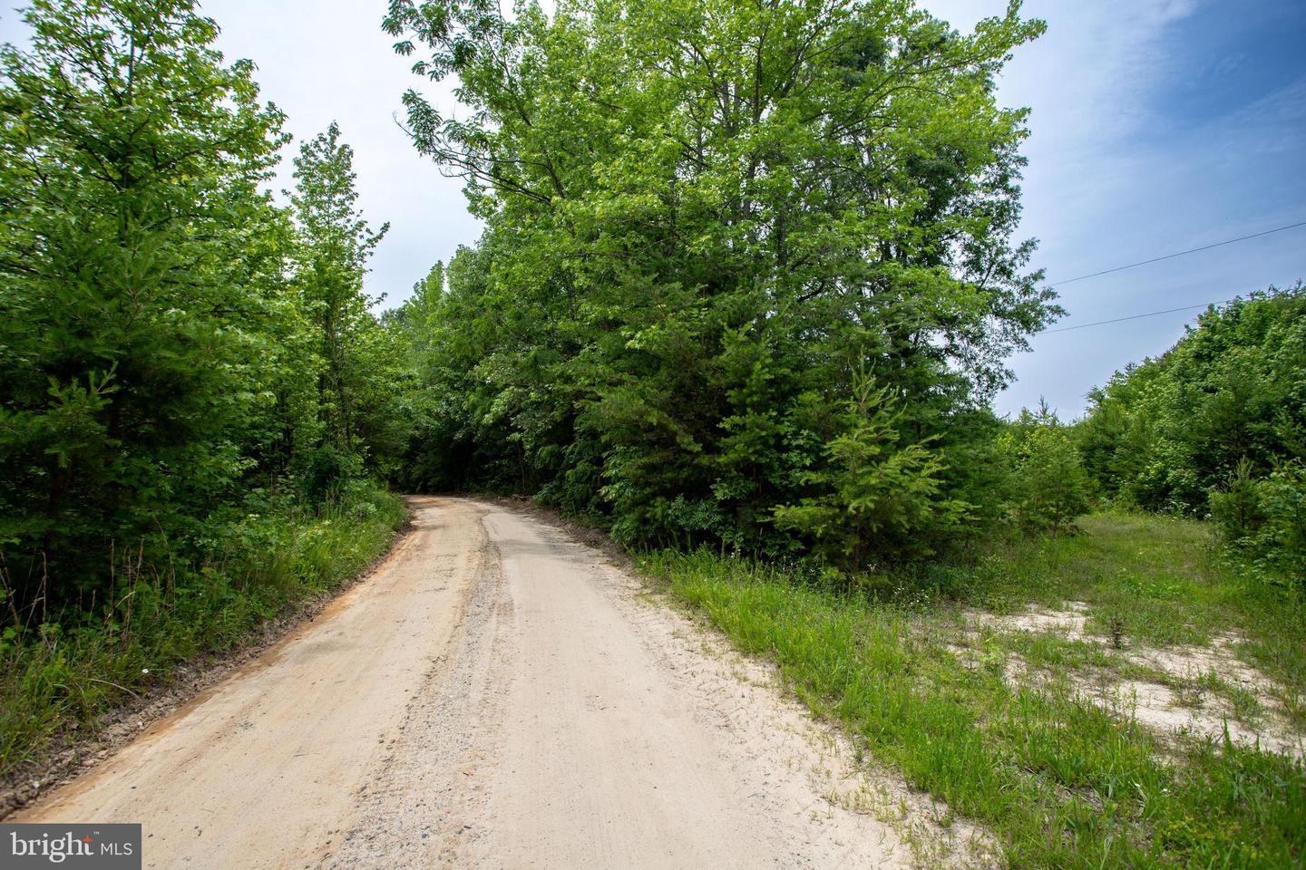 TBD BIG CEDAR LANE #9, NATHALIE, Virginia 24577, ,Land,For sale,TBD BIG CEDAR LANE #9,VAHX2000124 MLS # VAHX2000124