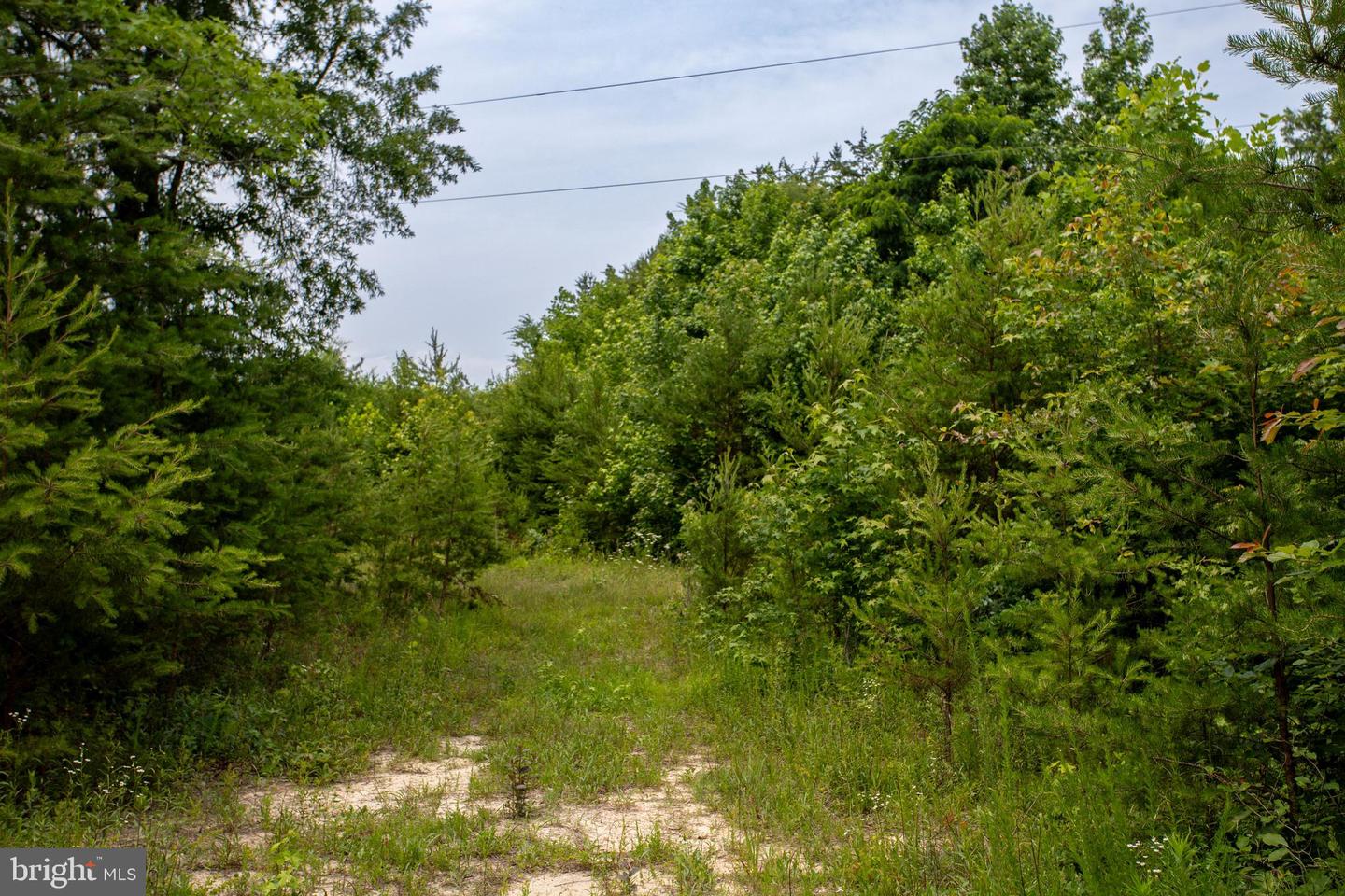 TBD BIG CEDAR LANE #9, NATHALIE, Virginia 24577, ,Land,For sale,TBD BIG CEDAR LANE #9,VAHX2000124 MLS # VAHX2000124