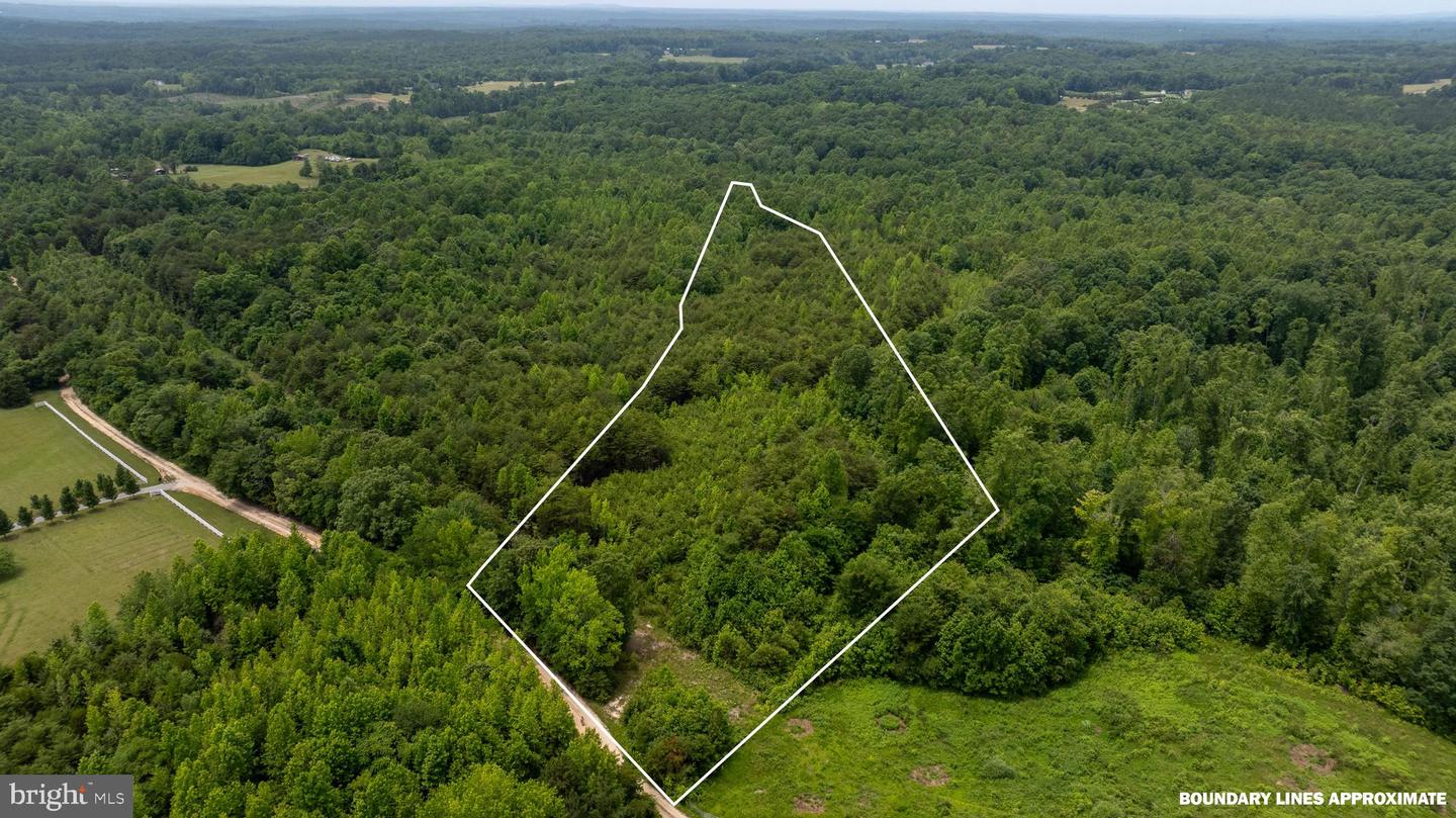 TBD BIG CEDAR LANE #9, NATHALIE, Virginia 24577, ,Land,For sale,TBD BIG CEDAR LANE #9,VAHX2000124 MLS # VAHX2000124