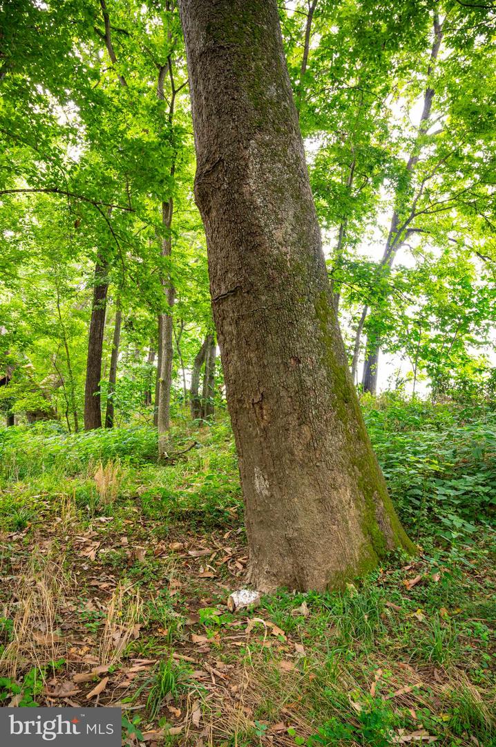 LOT 46A STRASBURG RD, FRONT ROYAL, Virginia 22630, ,Land,For sale,LOT 46A STRASBURG RD,VAWR2011934 MLS # VAWR2011934