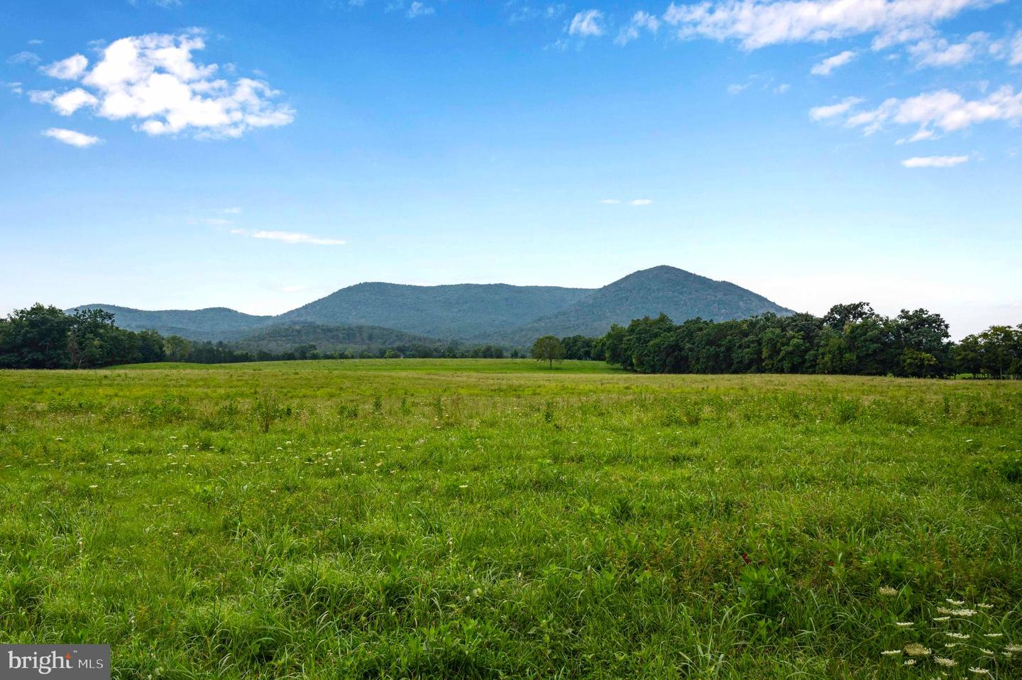 LOT 46A STRASBURG RD, FRONT ROYAL, Virginia 22630, ,Land,For sale,LOT 46A STRASBURG RD,VAWR2011934 MLS # VAWR2011934